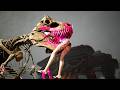 MK1 All Animalities on Harley Quinn Kitana