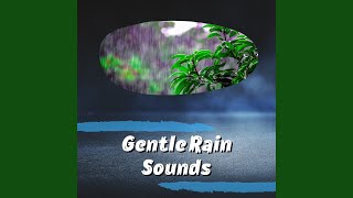 Midday Rain