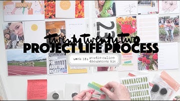 2022 Project Life Process: Week 18 Studio Calico May Documenter Kit
