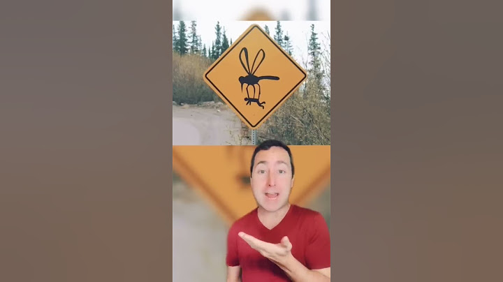 Funny road signs people found #shorts