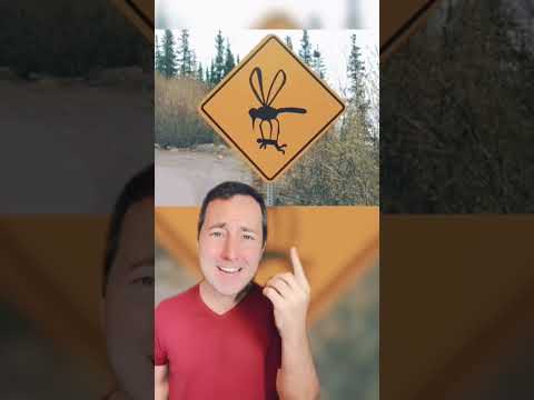 Funny Road Signs People Found Shorts
