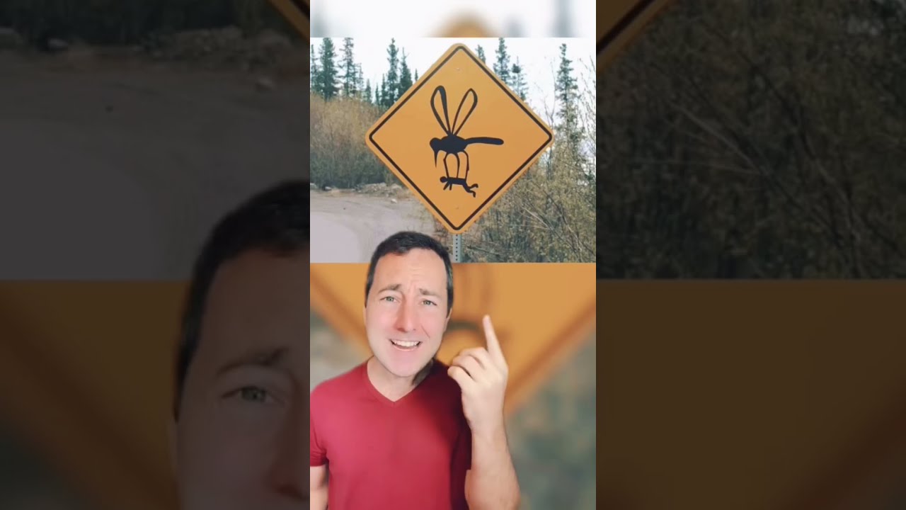 Funny road signs people found #shorts