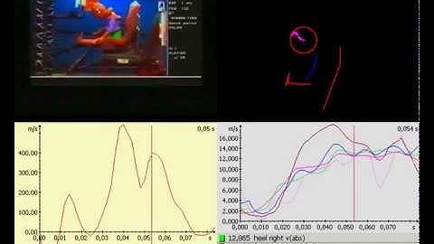 Crash Test - Crash Analysis of impact on a child dummy - with Simi Motion