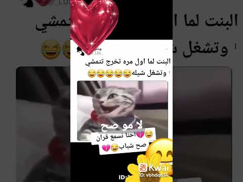 من امتى احنا نشغل شيلات والله كذب اخوي يشغل اغاني حنا قران صح بنات المهم التعليق المثبت