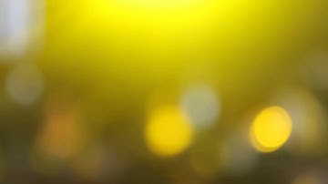 Wilco & Django Django LIVE @ Bonnaroo 2013