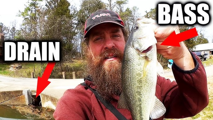 $20 COMBO! - Buying And Setting Up a $20 Rod And Reel Combo