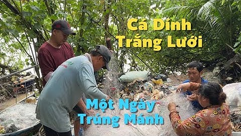 Trúng Mánh Đàn Cá Mấy Chục Ký Ngày Mưa Bà Cậu Cho Lộc | Cù Lao Dung Vlogs #821