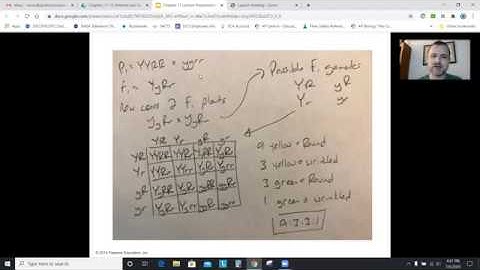 AP Biology Chapter 11: Mendel and the Gene Idea