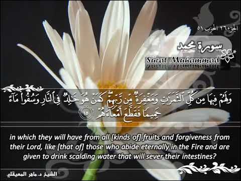 SURAH MUHAMMAD MAHER AL MUAIQLY 