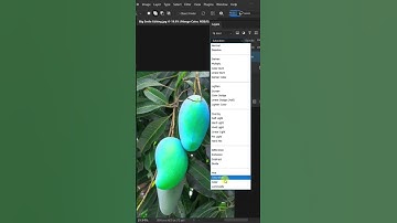 New Adobe Photoshop 2024 || #phtoshop #tutorial
