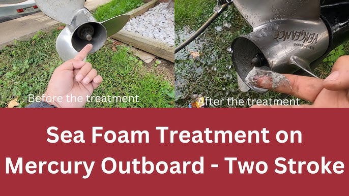 Sea Foam Motor Treatment In A Chainsaw AnglingBuzz