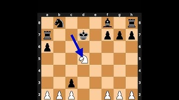 Chess Puzzles - 20th of May, 2023 #chess