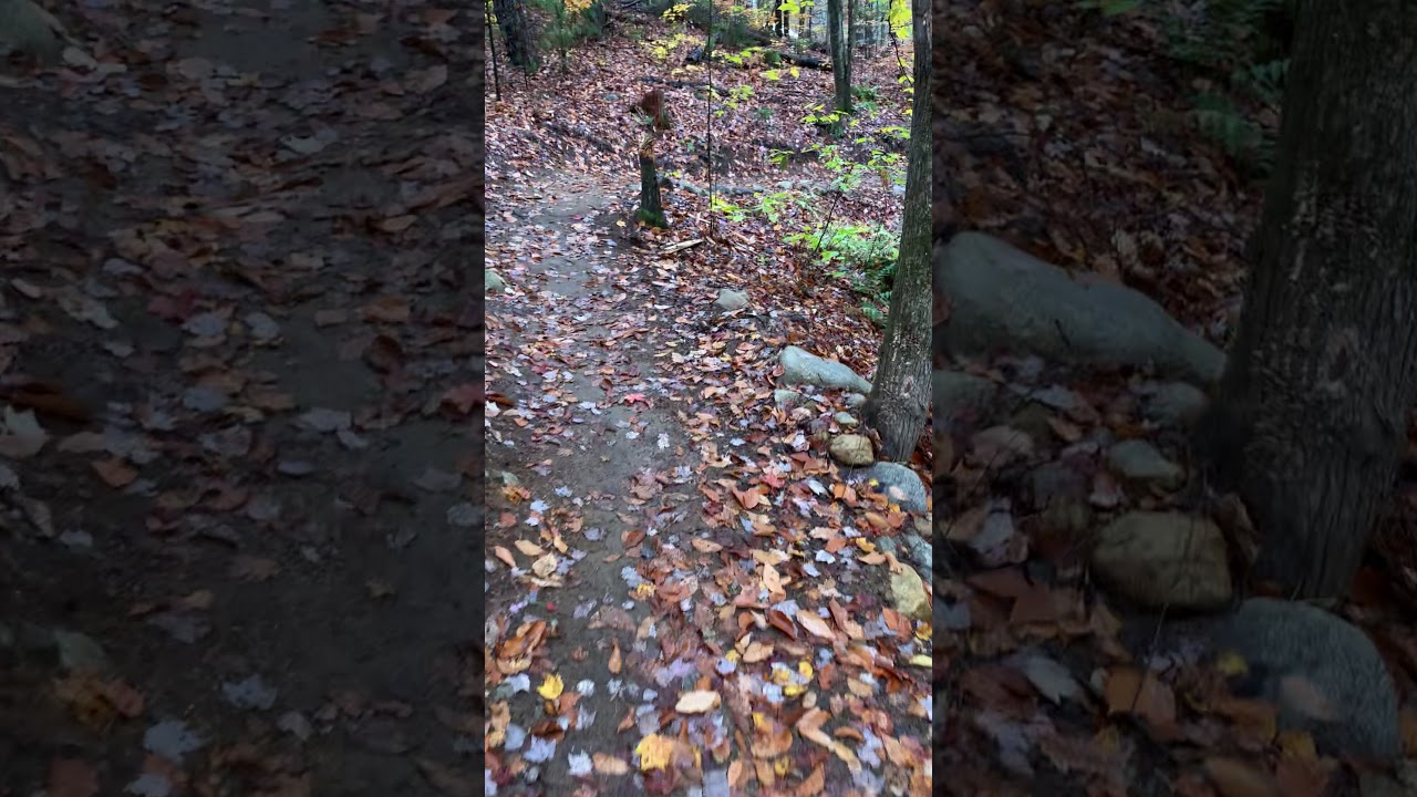 "Secret" MTB trail in Bethel, Maine