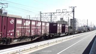 JR貨物 EF66 27号機が牽引する2070レ貨物列車(H28.3.21)