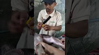 BMG Technician full out the egg of the 🐷 pig #shorts #fyp #fypシ #viral