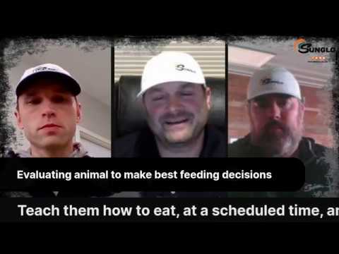 Sunglo Facebook Live 4-15-20: Creating a Game Plan for Your New Show ...