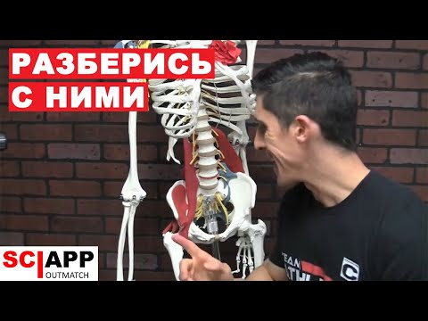 Видео: Внутреннее вращение бедра: растяжки и упражнения для улучшения мобильности