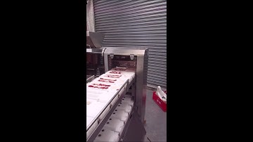 Emsens Kebab Skewering Machine - Tradition