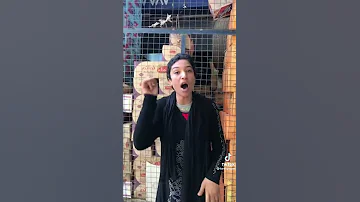 دينا مراجيح توجه رساله انا والله يا اخواتى عايشه 