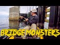 Bridge Fishing for Sheepshead in Panama City - Multiple Surprise Catches!