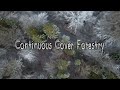 Forestry of the future highquality timber risk reduction  biodiversityccf