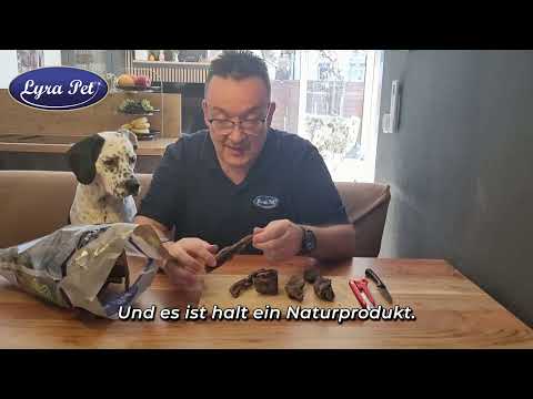 Lyra Pet – Rinderpansen für Hunde: Natürlich & unwiderstehlich