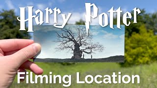 Deathly Hallows | Lily and Snape Tree | Harry Potter Filming