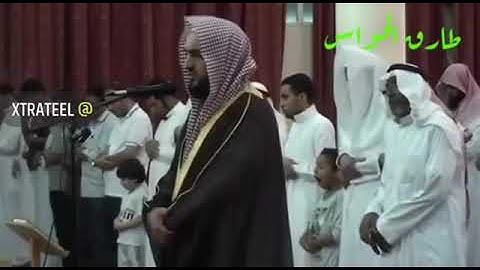 تلاوة للقارئ : طارق الحواس