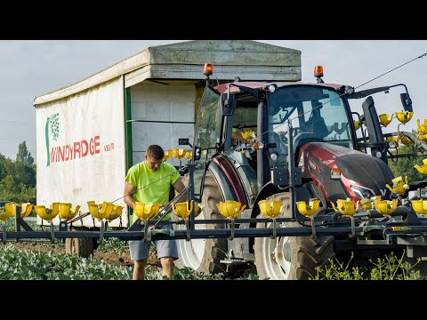 Episode 2 - Tending to the Fields | Valtra