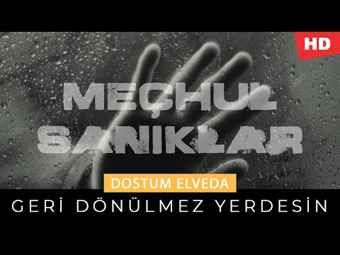 Meçhul Sanıklar - Geri Dönülmez Yerdesin / Dostum Elveda