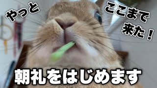 Monday, August 31st: Starting the Oyakata Construction Morning