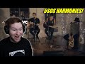 5 Seconds of Summer - BEST HARMONIES REACTION!!!!