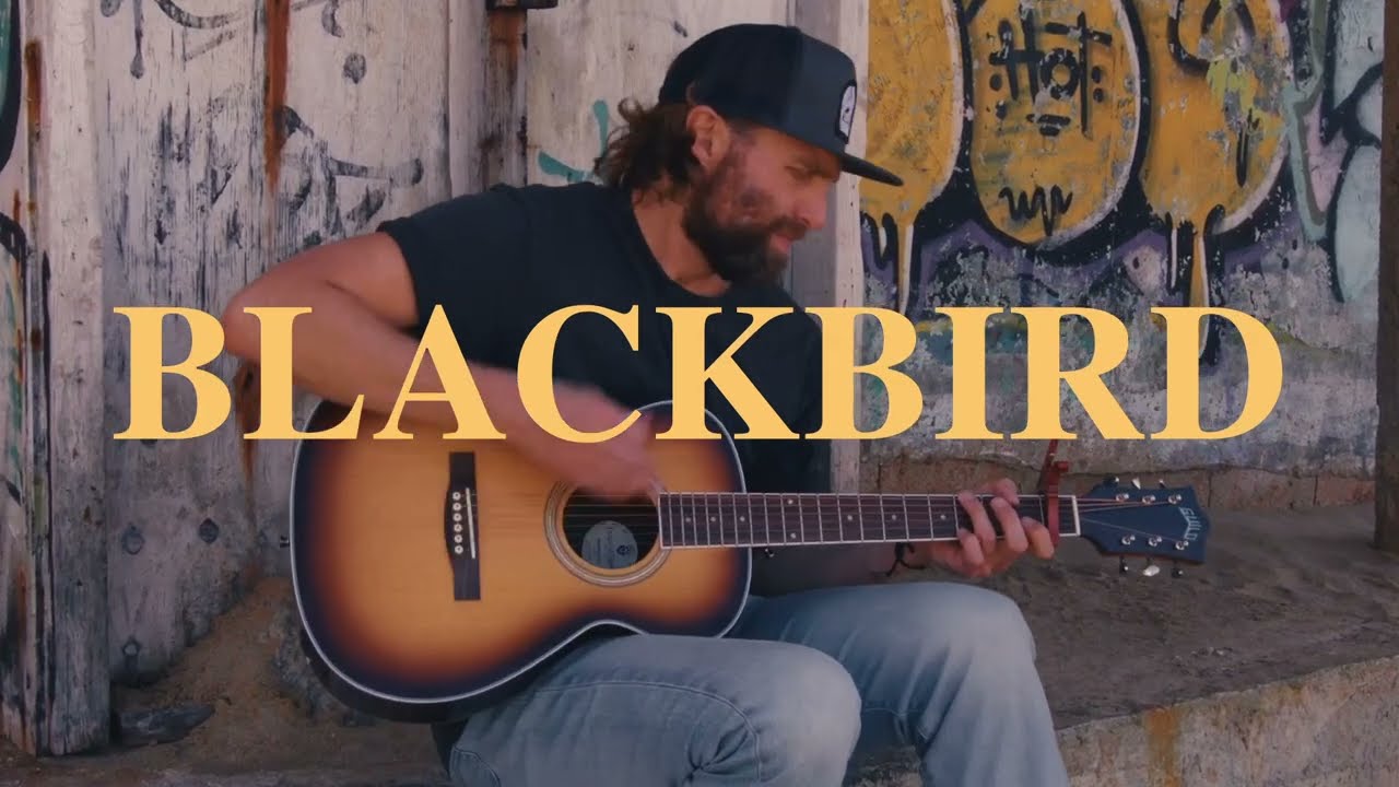 Watch KING KYOTE - "Blackbird" (Official Lyric Video) on YouTube Watch KING KYOTE - "Blackbird" (Official Lyric Video) on YouTube