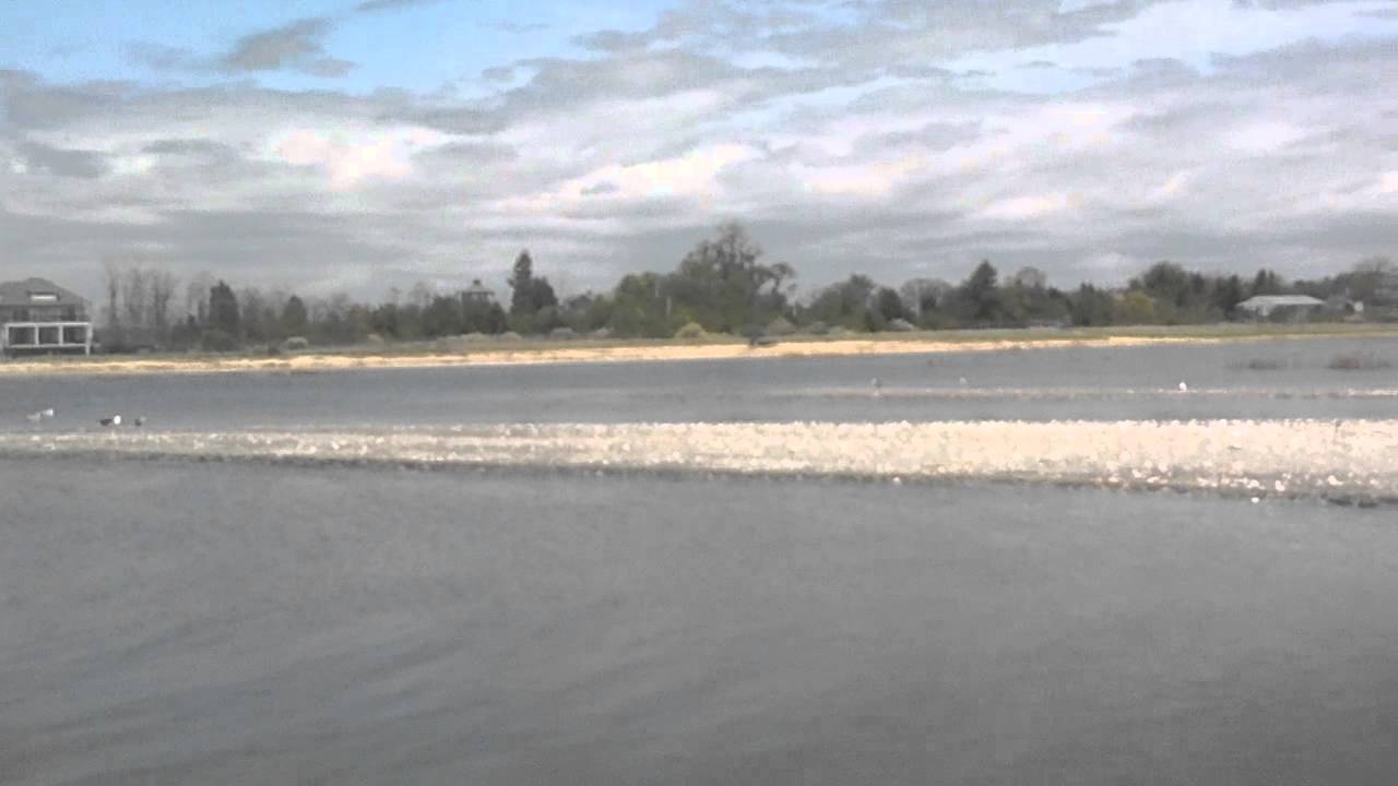 Walnut beach Milford Ct. YouTube