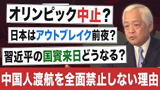 【新型コロナ速報④】「日本政府が中国人渡航を全面禁止しない真実」日本人の命、税金、オリンピック開催を犠牲にしてまで守っていること（TVが報じない新型コロナの真実）