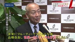 東京ブランドで勝負！　小笠原産「東京カカオ」お披露目