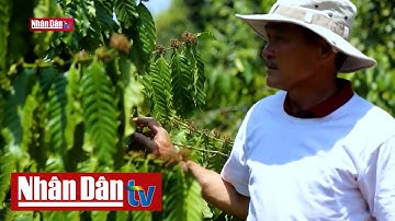 Tháo gỡ khó khăn về vốn cho các dự án tăng trưởng xanh | Năng lượng xanh