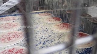 PIZZA TOPPING DEPOSITOR MOD. DAP