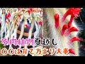90%の多肉植物は夏こしが困難、うまく夏越ししたいなら育て方ではなく、○○がキー｜花子