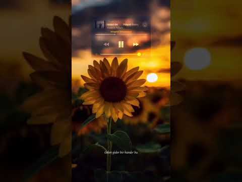 İnstagram story hikaye, Whatsapp durum için video - duygusal anlamlı video Hayati İnanç Gelsende bir