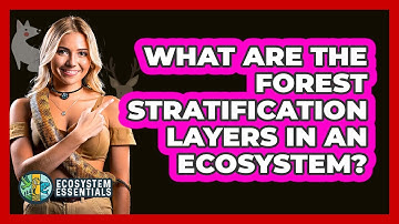 What Are The Forest Stratification Layers In An Ecosystem? - Ecosystem Essentials