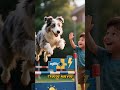 Curiosidades del perro PULI. #perros #mascotas #mundoanimal #short #youtube #youtubeshort