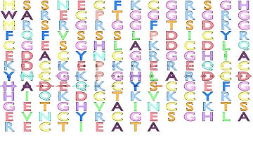Gene Music using Protein Sequence of CNBP "CCHC-TYPE ZINC FINGER, NUCLEIC ACID BINDING PROTEIN"