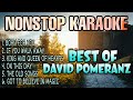 BEST OF DAVID POMERANZ | Nonstop Karaoke