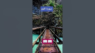 تلاوة نادرة لأول مرة تسمعها 📖 القران الكريم يجمعنا الشيخ ماهر المعيقلي