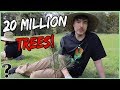 What if We Plant 20,000,000 Trees?