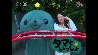 タマといっしょ - キタニタツヤ