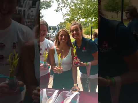 Video: Ist die Alvernia University eine Partyschule?