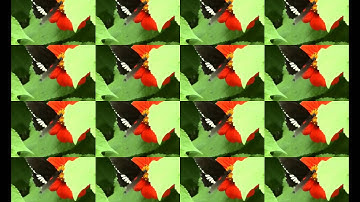 Trying the trakAxPC Free Version effects - 4/5 Stars