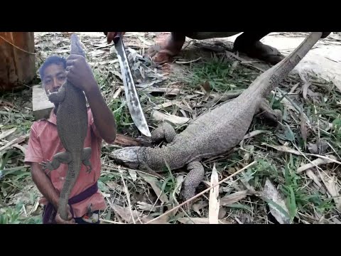 Yummy Monitor Lizard meat cook